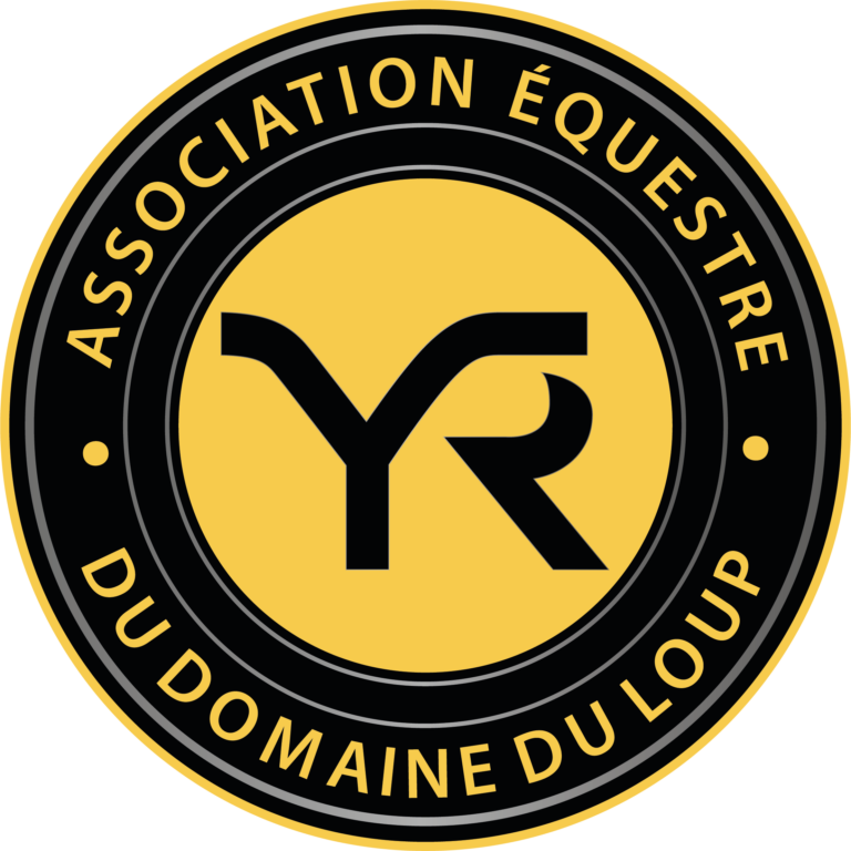 logoYRvector 2 768x768