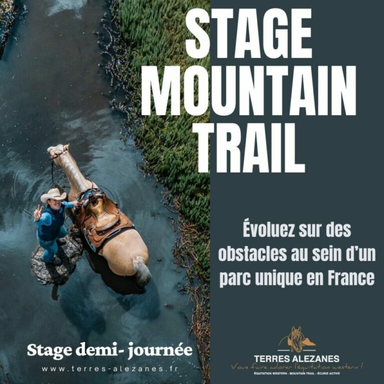 stage mountain 980x980 1 768x768