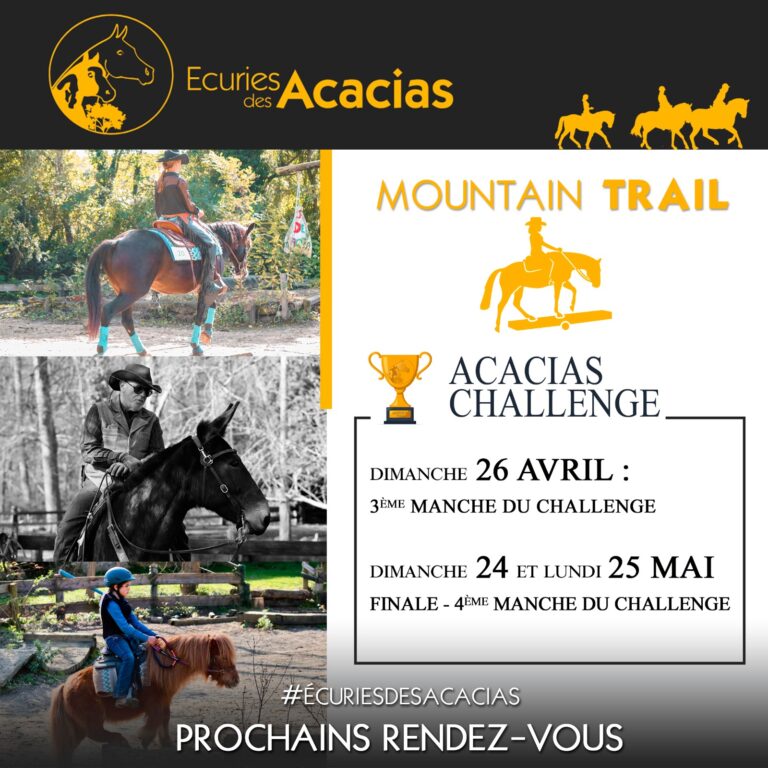 3f6dc05d 9164 4ccf 825c ecfd38fc1037 768x768