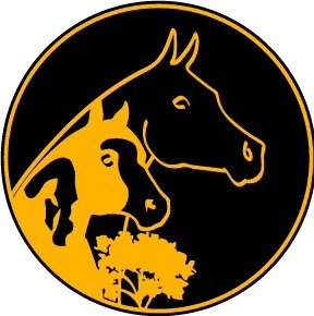 431167535 914458204018351 8199117010589507267 n