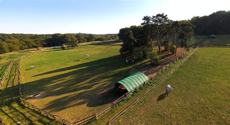 490353412 1222844669846368 6111936704161102924 n 768x418