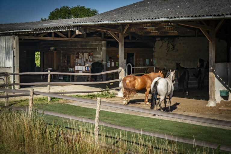 GNI06570 768x512